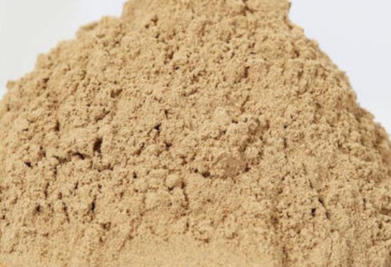 沙参粉的功效与作用 沙参粉的禁忌