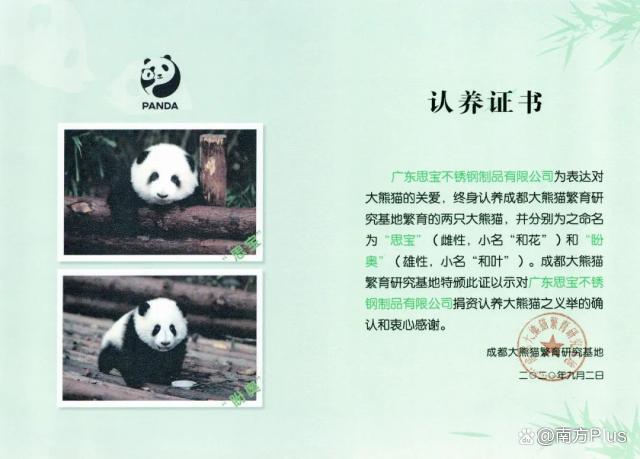 大熊猫和花和叶已被认养 “果赖”也是财阀千金跟公主啊