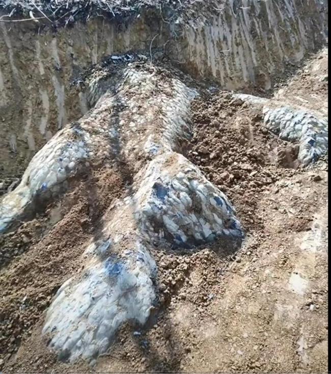 湖南邵阳发现疑似“龙化石” 专家判断为天然石头
