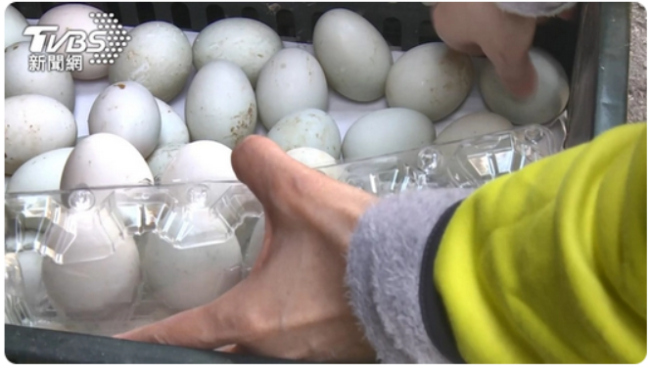 岛内鸡蛋价格持续飙涨 价格创新高 有的群众已经吃不起鸡蛋了！