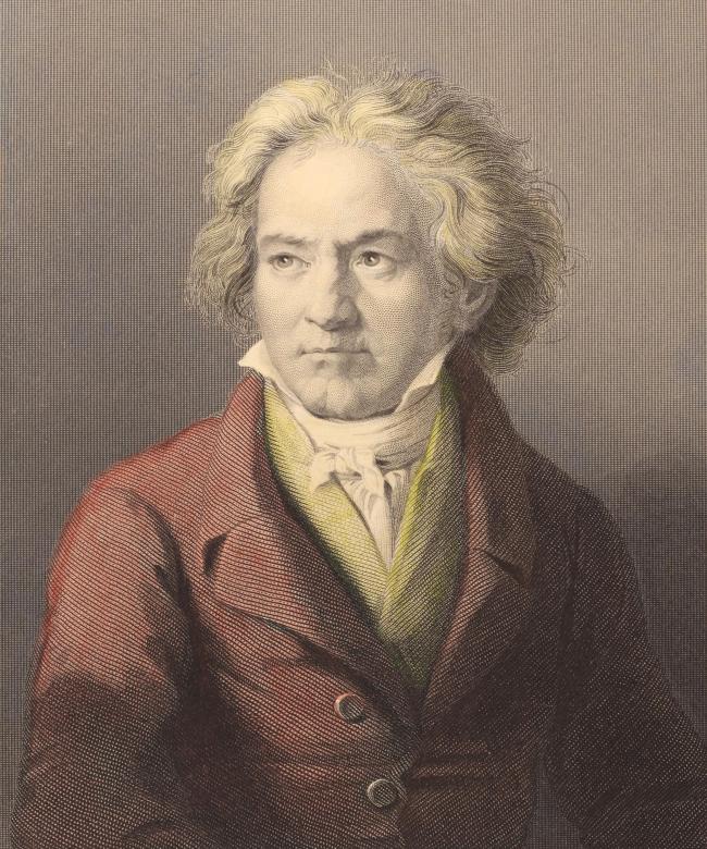 科学家通过头发揭露贝多芬死因 并非铅中毒 还意外揭开身世之谜