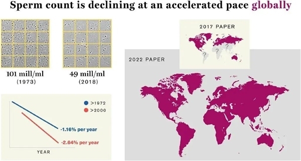 全球男性精子量告急：50年来减少62％！2045年人类绝育？