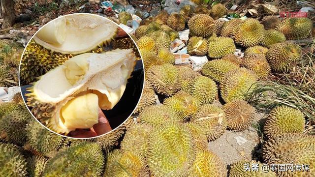 泰国女子发现近百公斤榴莲被扔路边 疑似偷盗弃赃