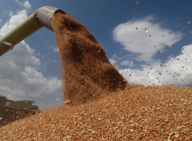 乌暂停向波兰出口小麦，全球粮食市场面临双重威胁