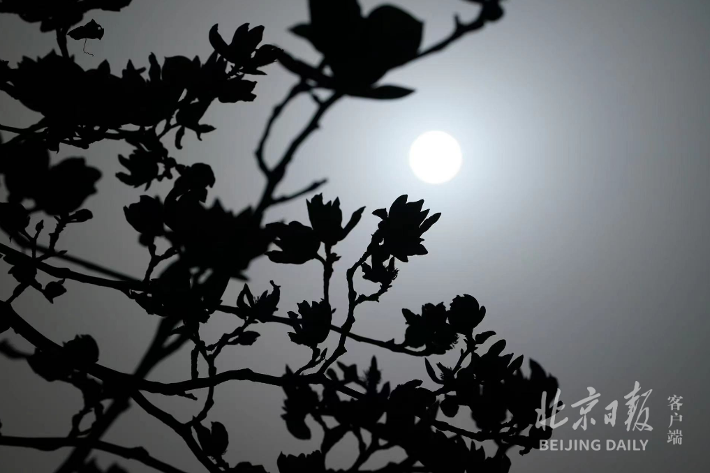 受沙尘天气影响，北京上空再现“蓝太阳”-健康之路健康知识