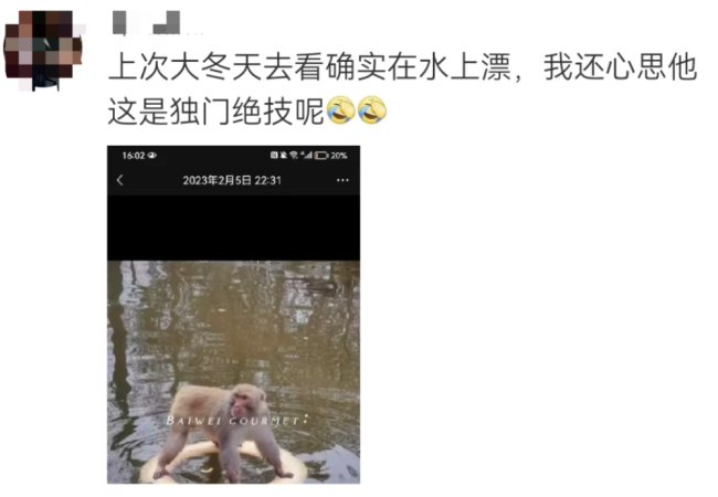 南京网红猴已单独饲养 早前被曝遭同伴欺负只能“水上漂”引关注