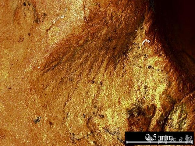 湖北发现4000多年前人类指纹 刑侦专家火眼金睛立功