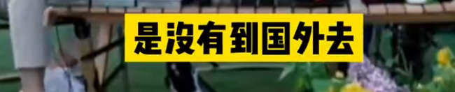 俞敏洪建议董宇辉出国留学，白天上课晚上直播，董宇辉回应