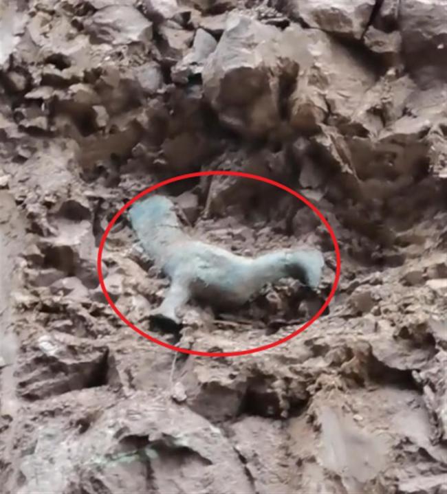一村民疑似挖出鸟状文物 最初以为是恐龙蛋   