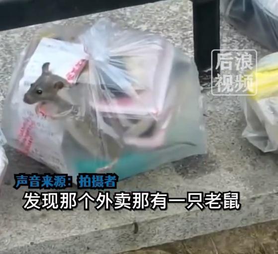 大学生点外卖袋子窜出一只老鼠 目击者：放外卖的旁边可能是个老鼠洞