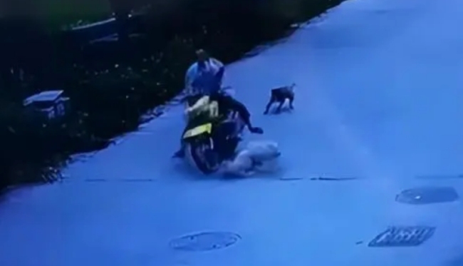 汕头男子撞狗被打事件：男子骑车撞到狗被人殴打