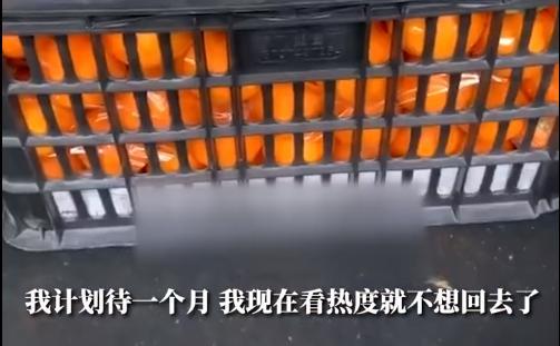 男子返乡遇淄博爆火，留下卖橙汁超过之前广东打工收入