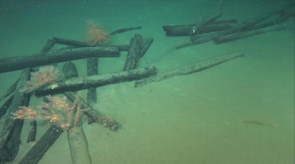 世界级重大考古发现！我国南海发现两处古代沉船