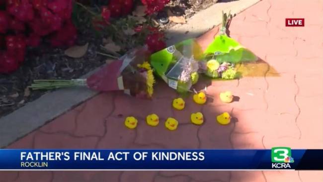 美国男子下车赶鸭子被撞身亡，市民摆鲜花和橡皮鸭纪念