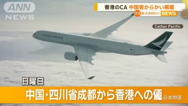 日本网友吐槽国泰航空服务：真是让人三观炸裂的奇葩公司