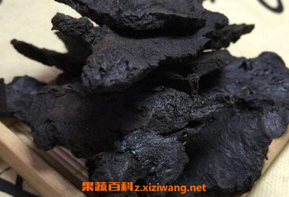 熟地黄的功效与作用及常见用法